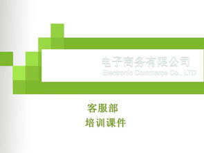 電子商務(wù)客服培訓(xùn) 以卓越服務(wù)驅(qū)動在線業(yè)務(wù)增長